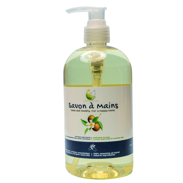 CLEAN SPOT - SAVON A MAIN - 490ML