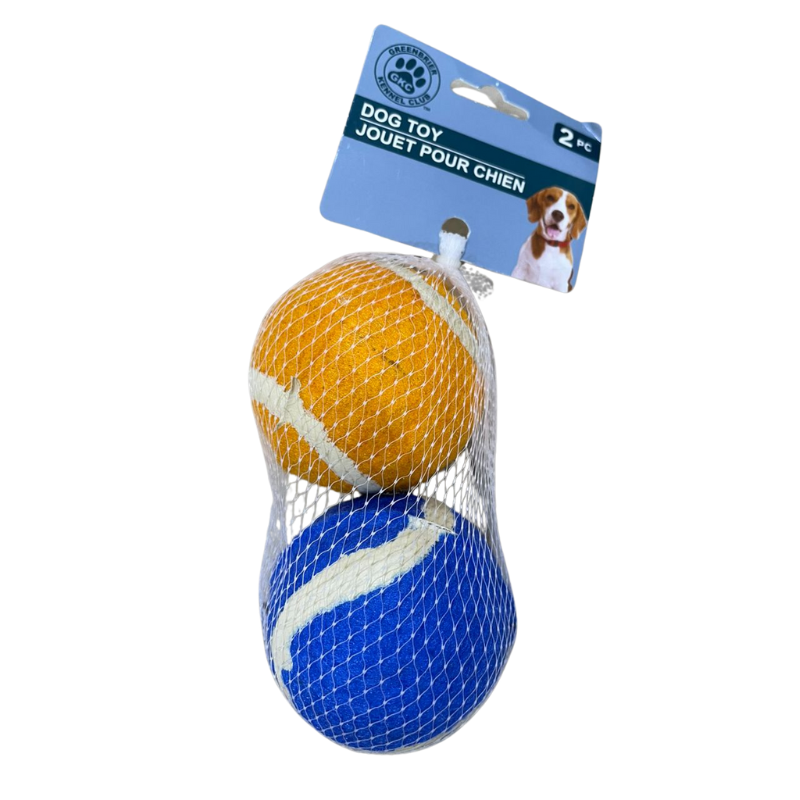 DOG TOY - BALL 2PCS