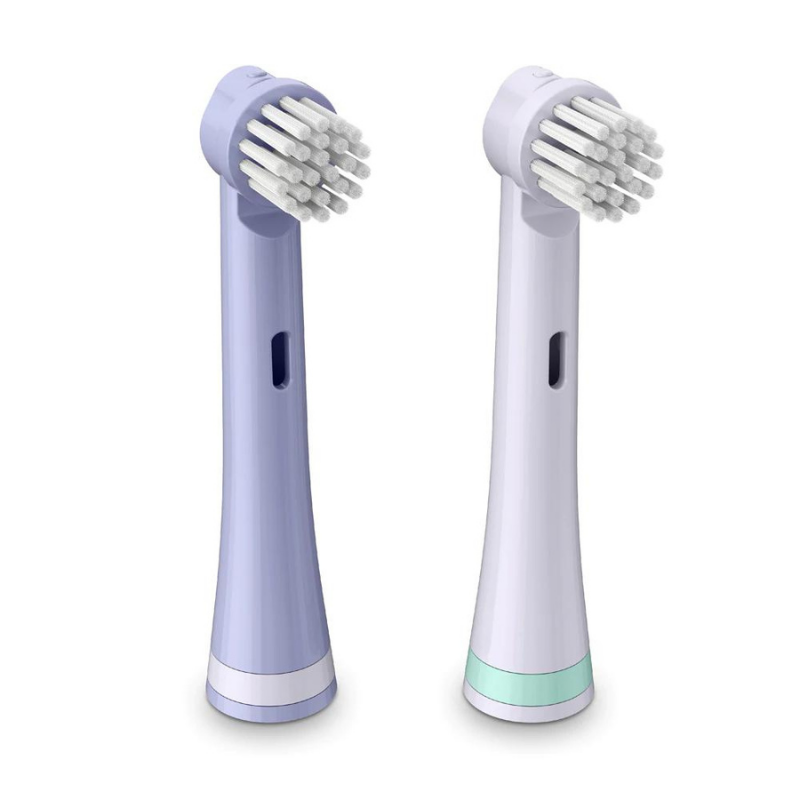 BRUSHEEZ Têtes de brosse de rechange 2 packs