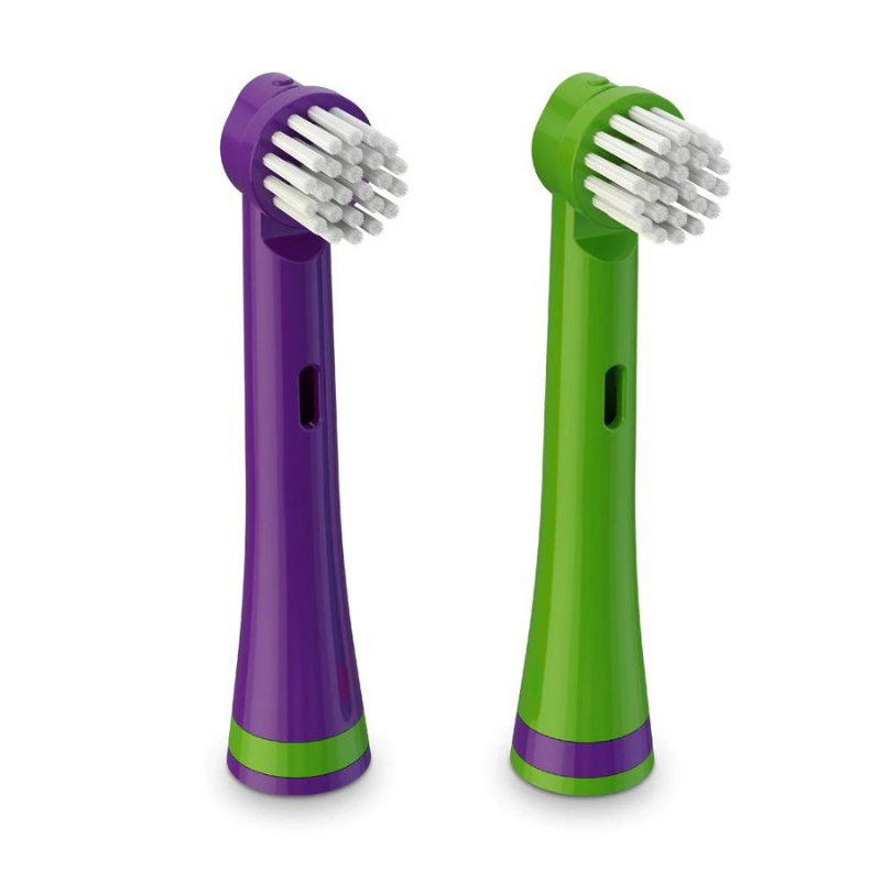 BRUSHEEZ Têtes de brosse de rechange 2 packs