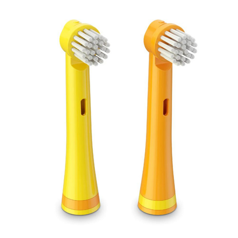 BRUSHEEZ Têtes de brosse de rechange 2 packs