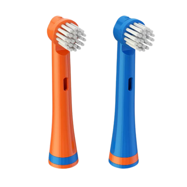 BRUSHEEZ Têtes de brosse de rechange 2 packs